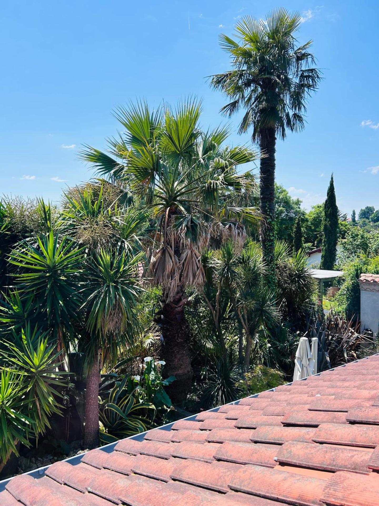 La Bastide de Guiche Entre Océan et montagnes