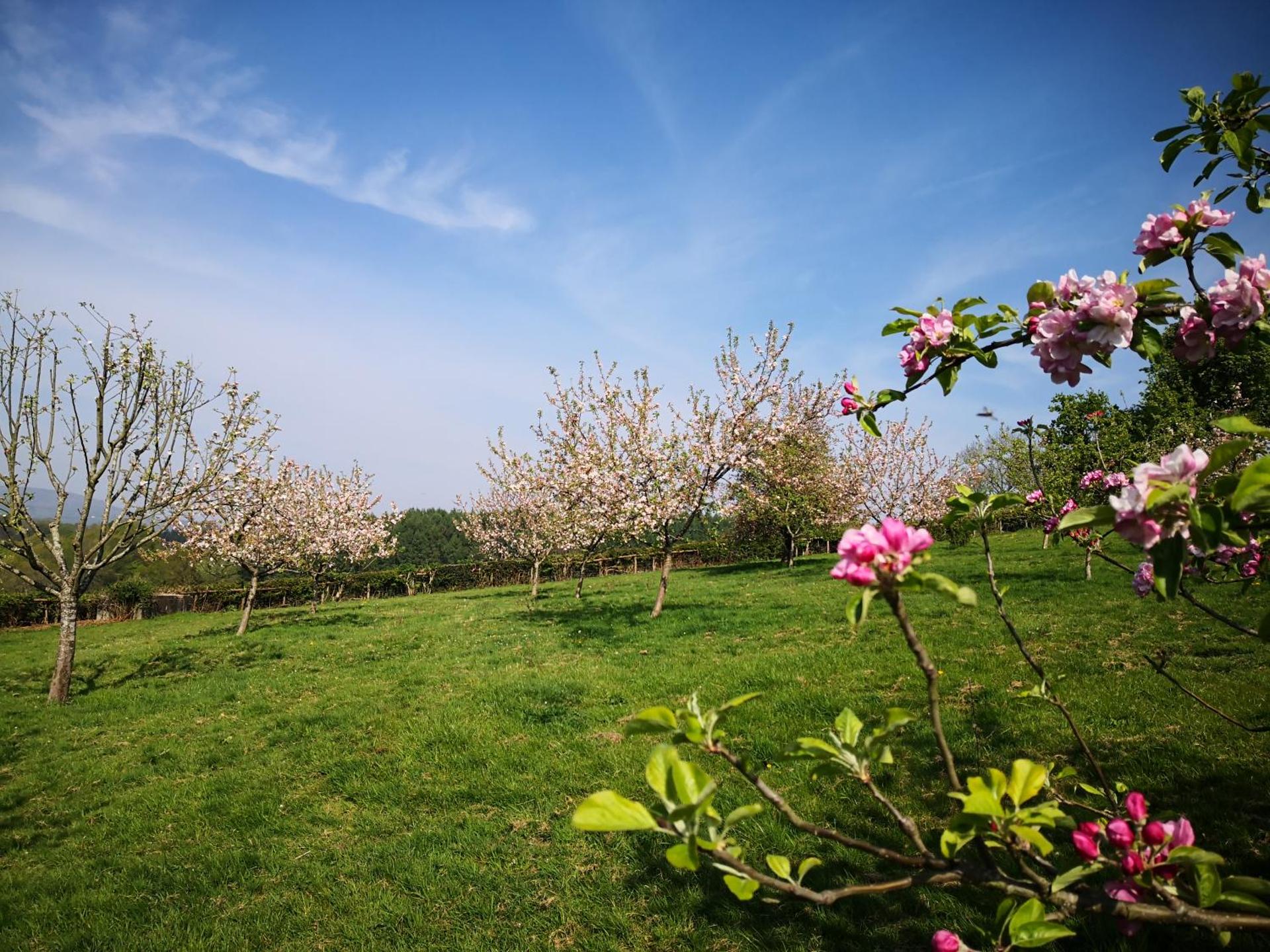 Usk Valley Shepherd's Hut
