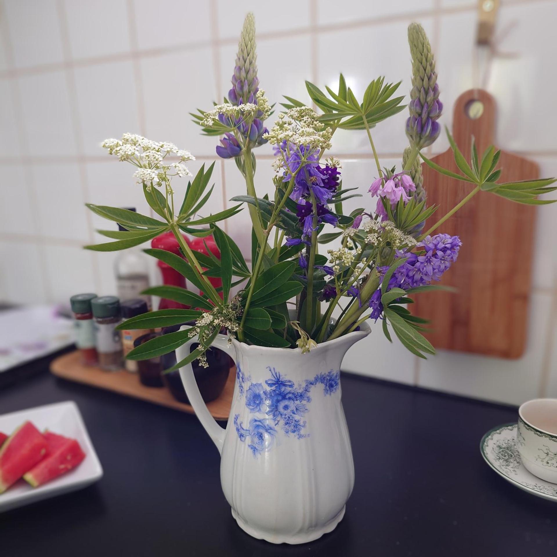 Ales BnB Lägenheten