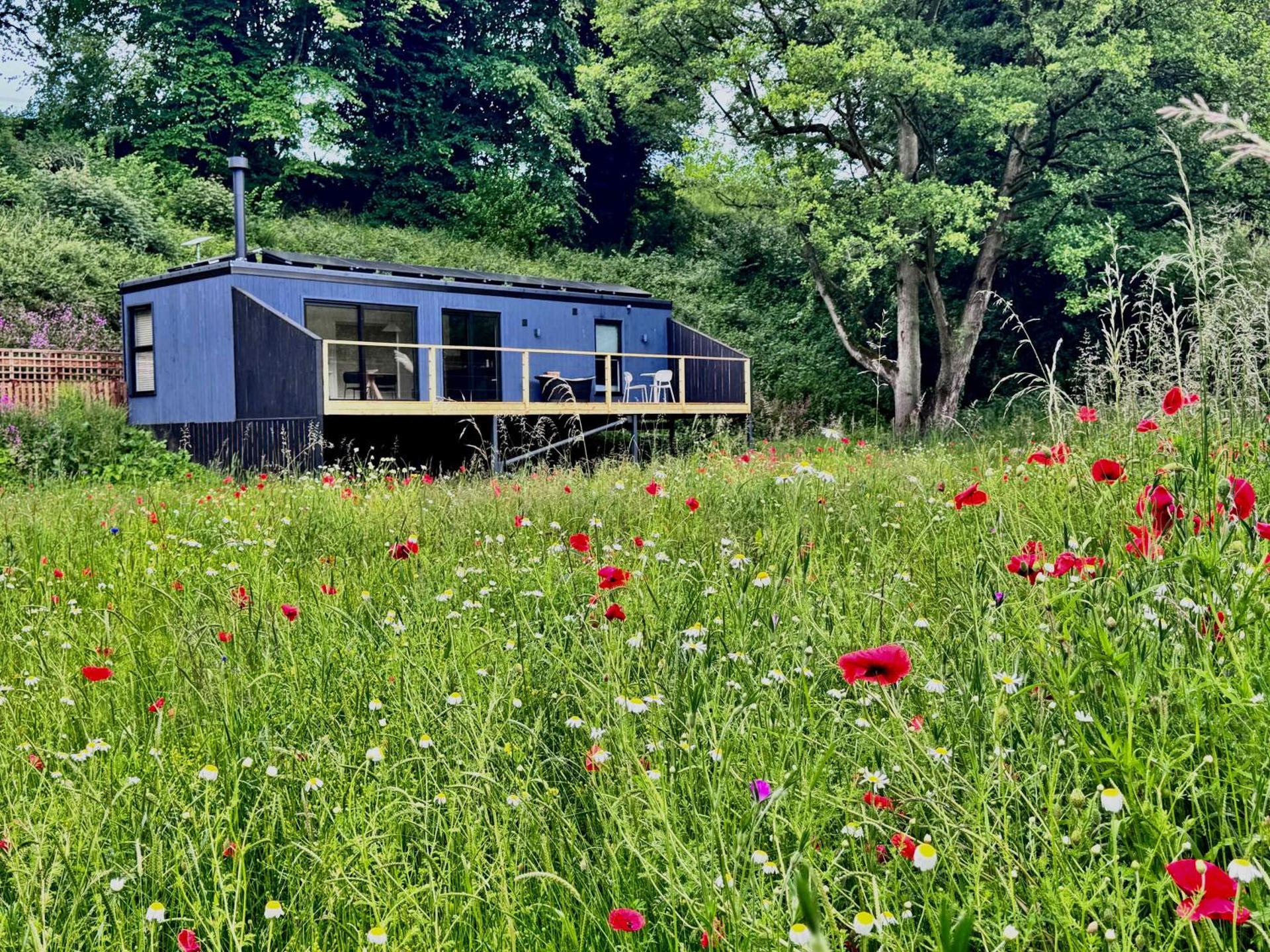 Heron - Luxurious Off-Grid Eco Cabin with River views