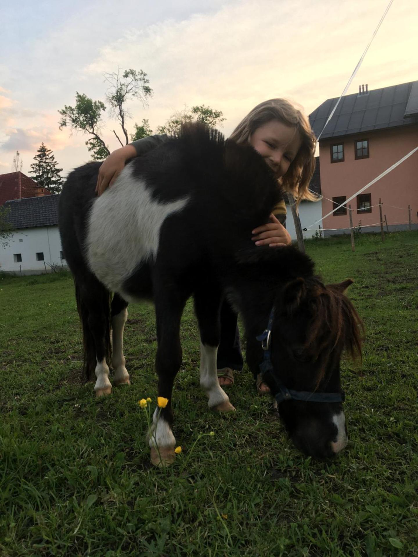 Wengerwirt zur Laube rustical "Blue"