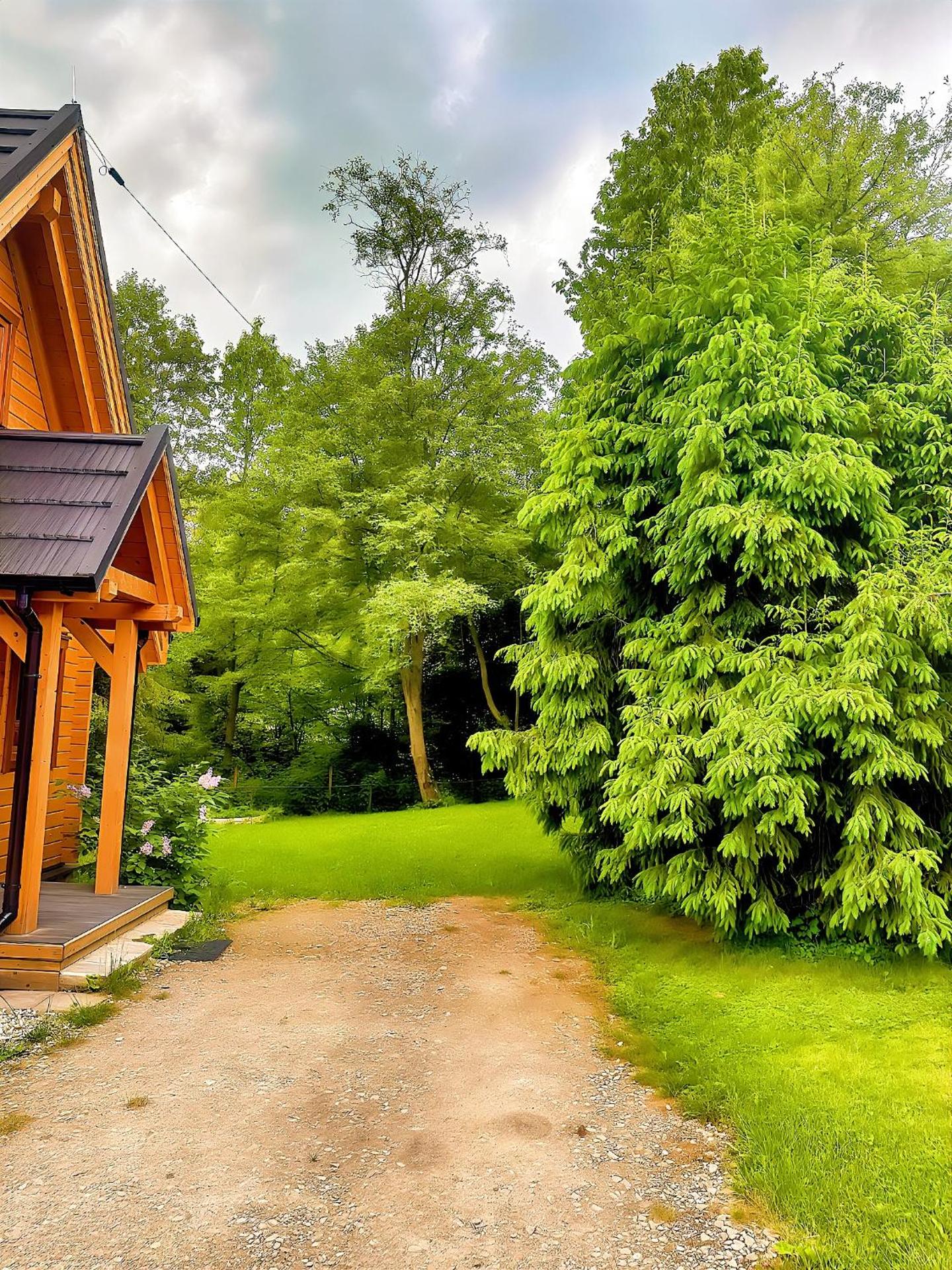 DOMKI JANOSIK Janosik Premium - prywatna posesja i wyższy standard