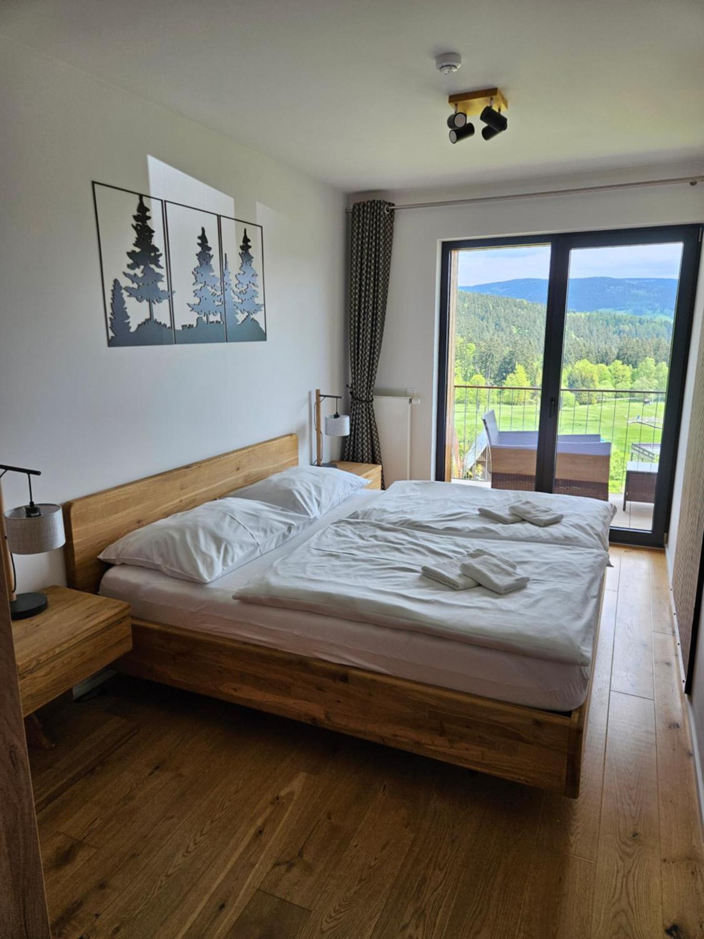 Ski a Bike Siréna Janské lázně APARTMENT 204