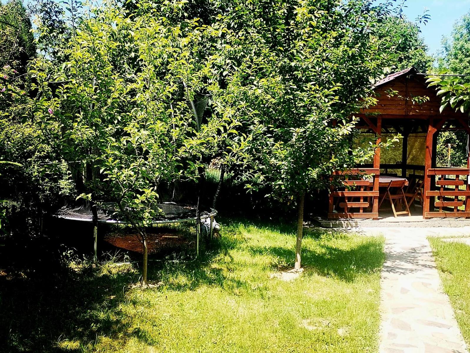 Children play ground