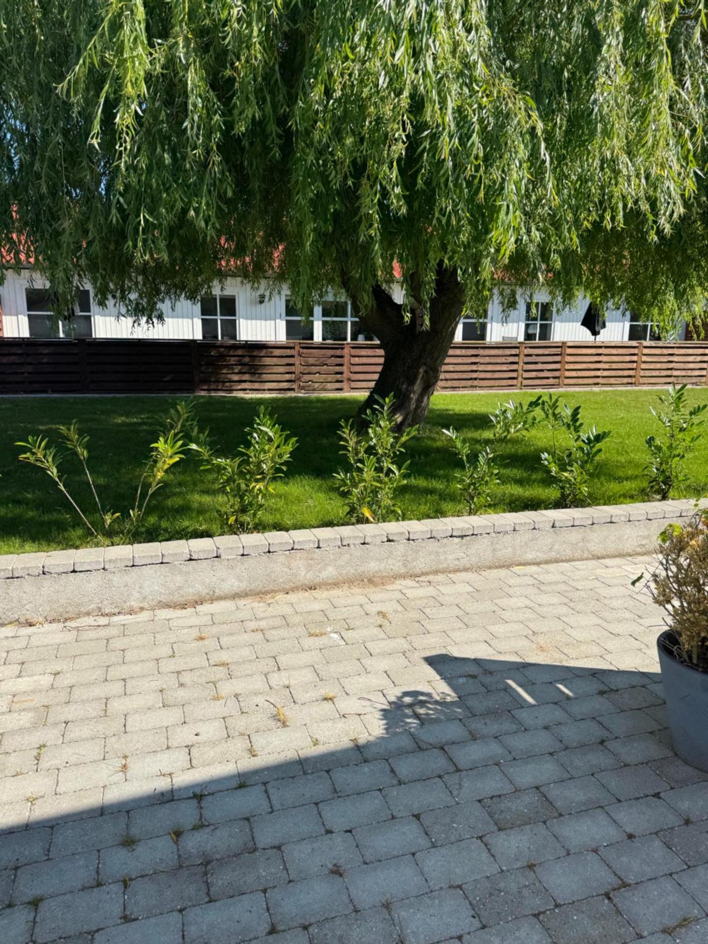 Bøtø strand ferielejlighed 7