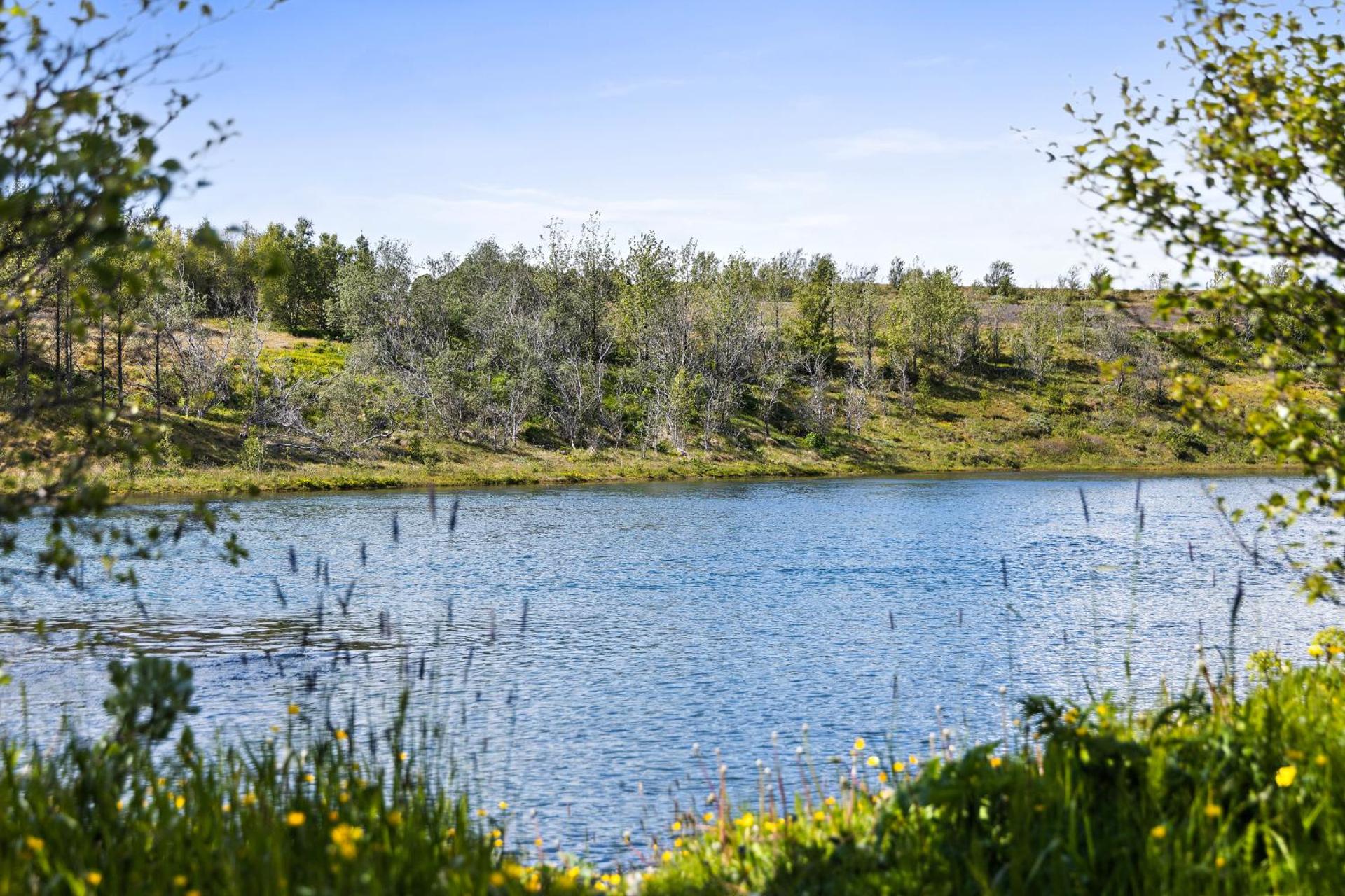Cozy house by the river Ytri Rangá