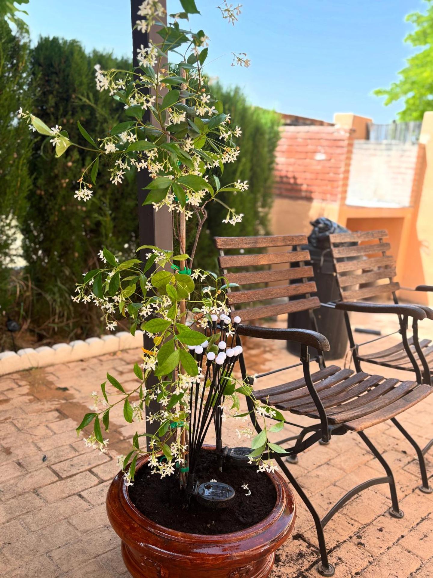 Casa Rural con encanto Señorio Manchego ALBACETE
