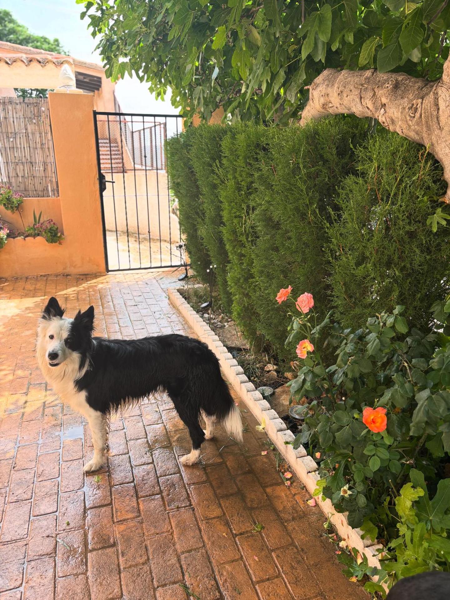 Casa Rural con encanto Señorio Manchego ALBACETE