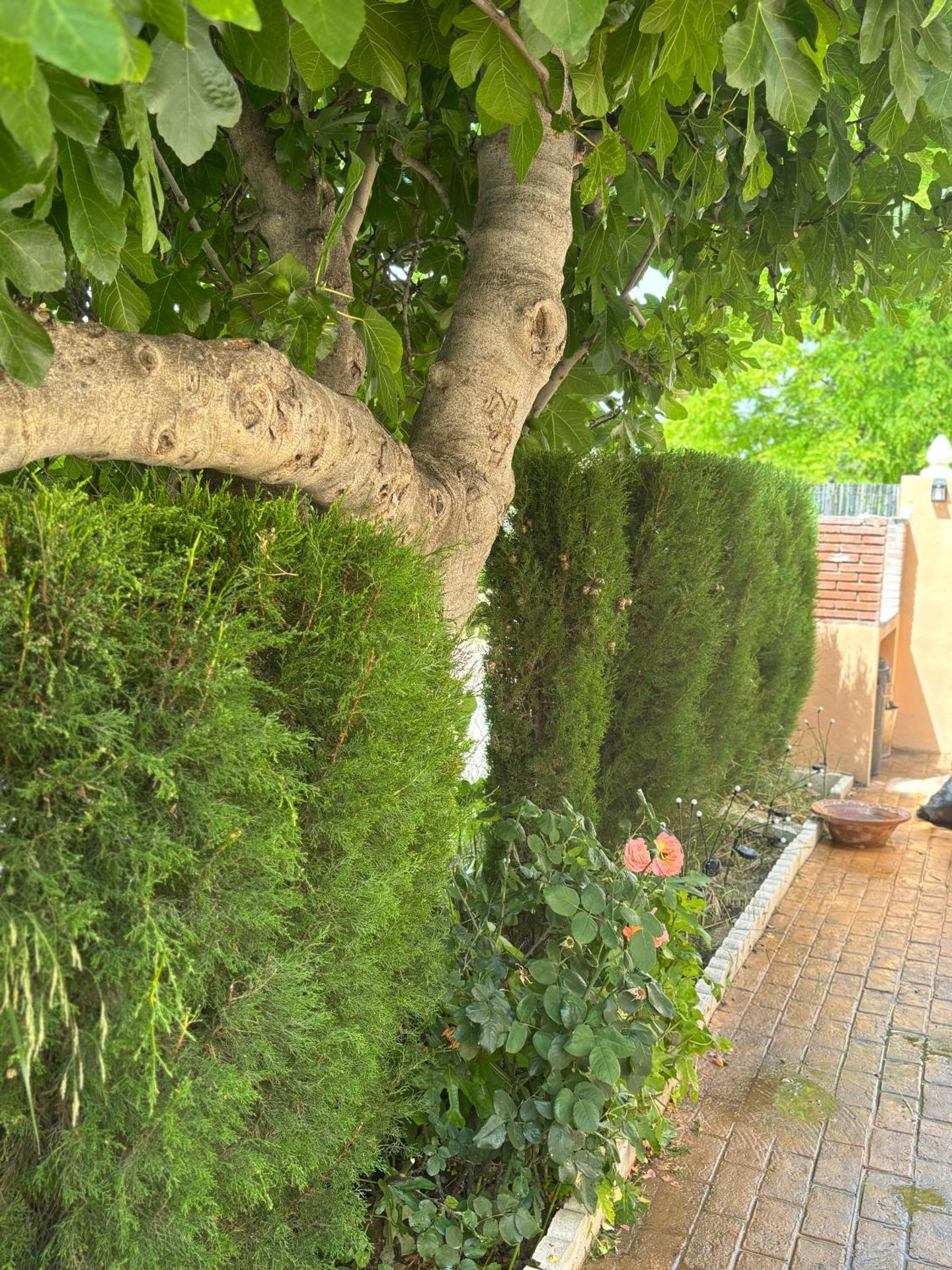 Casa Rural con encanto Señorio Manchego ALBACETE