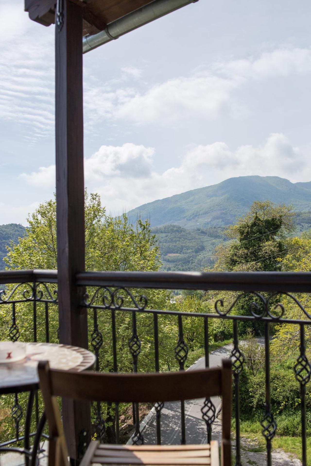 View (from property/room)