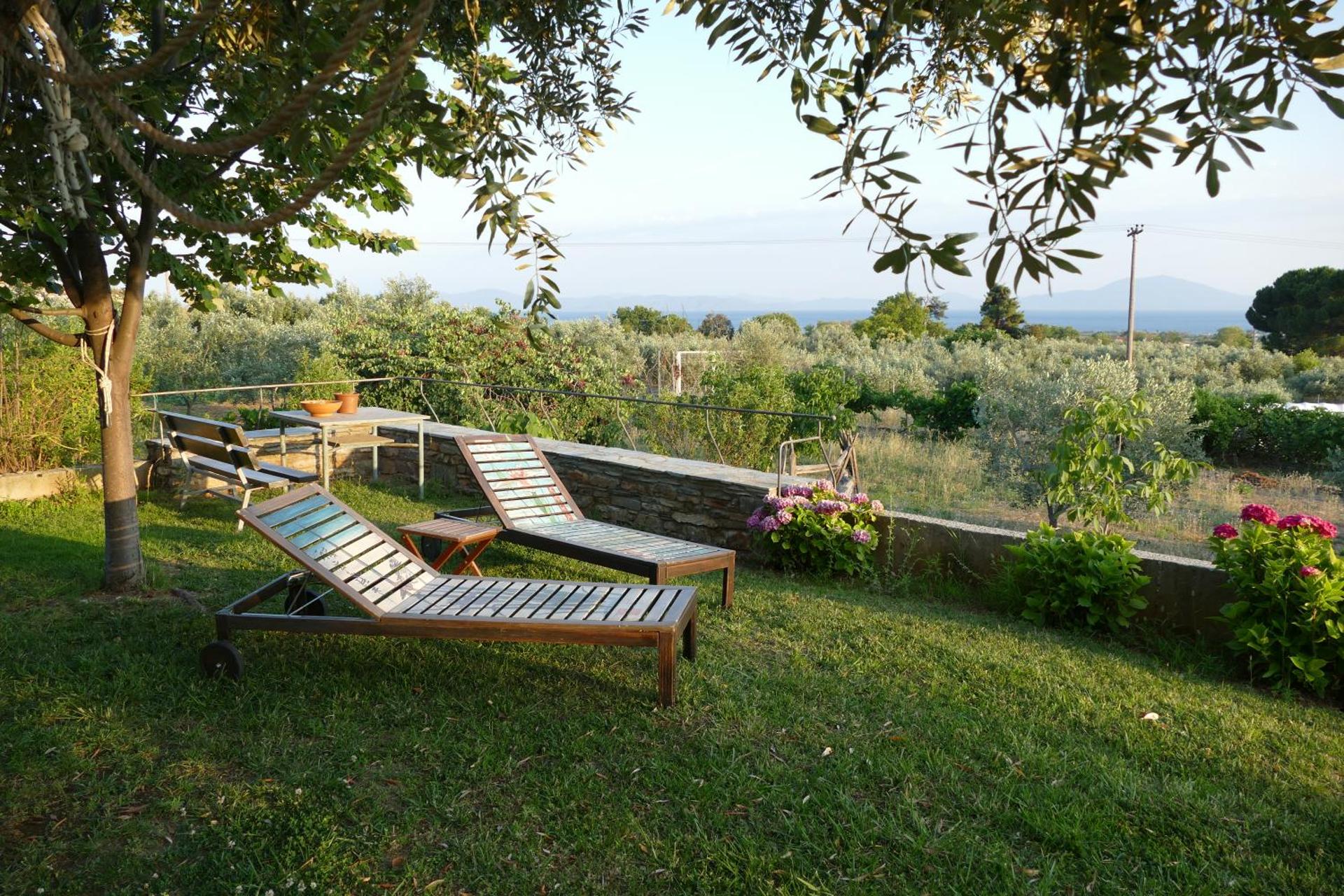 View (from property/room)