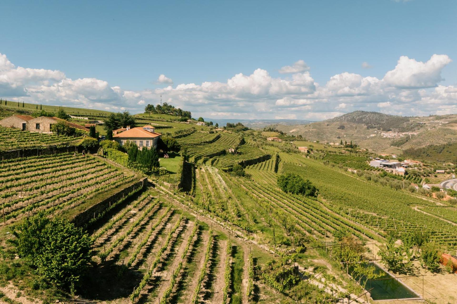 Quinta da Portela - Casa Visconde Arneiros - by RowdHouses