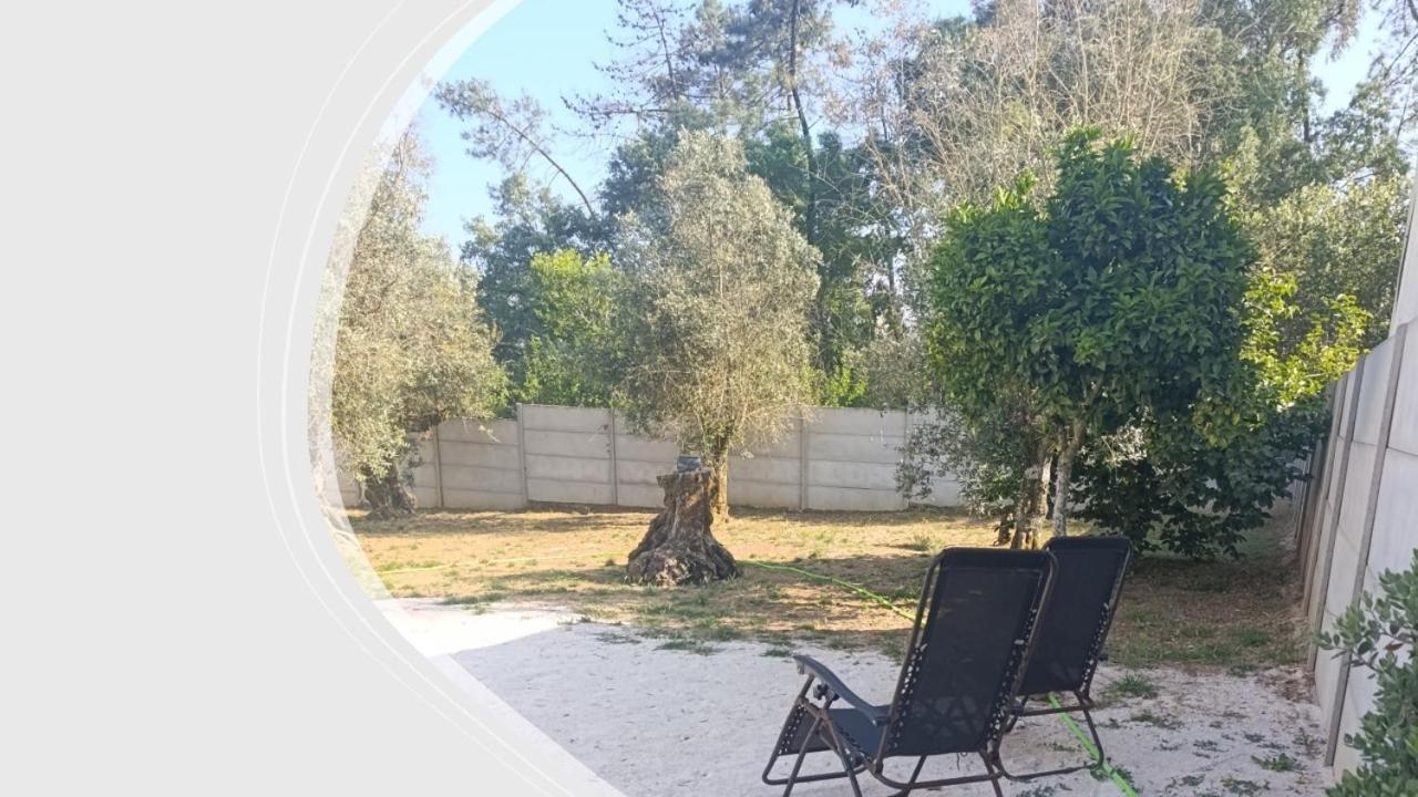 CASA SOPHIE - Alojamento