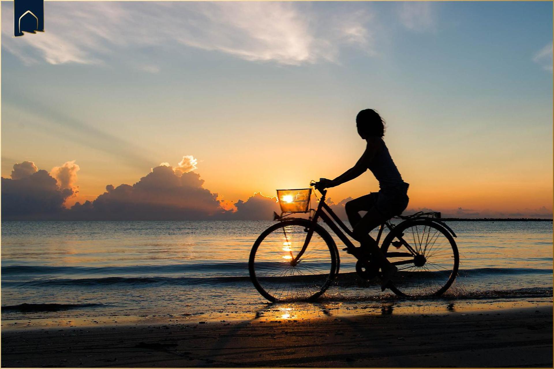 Ahlbeck Remise Malmö 1