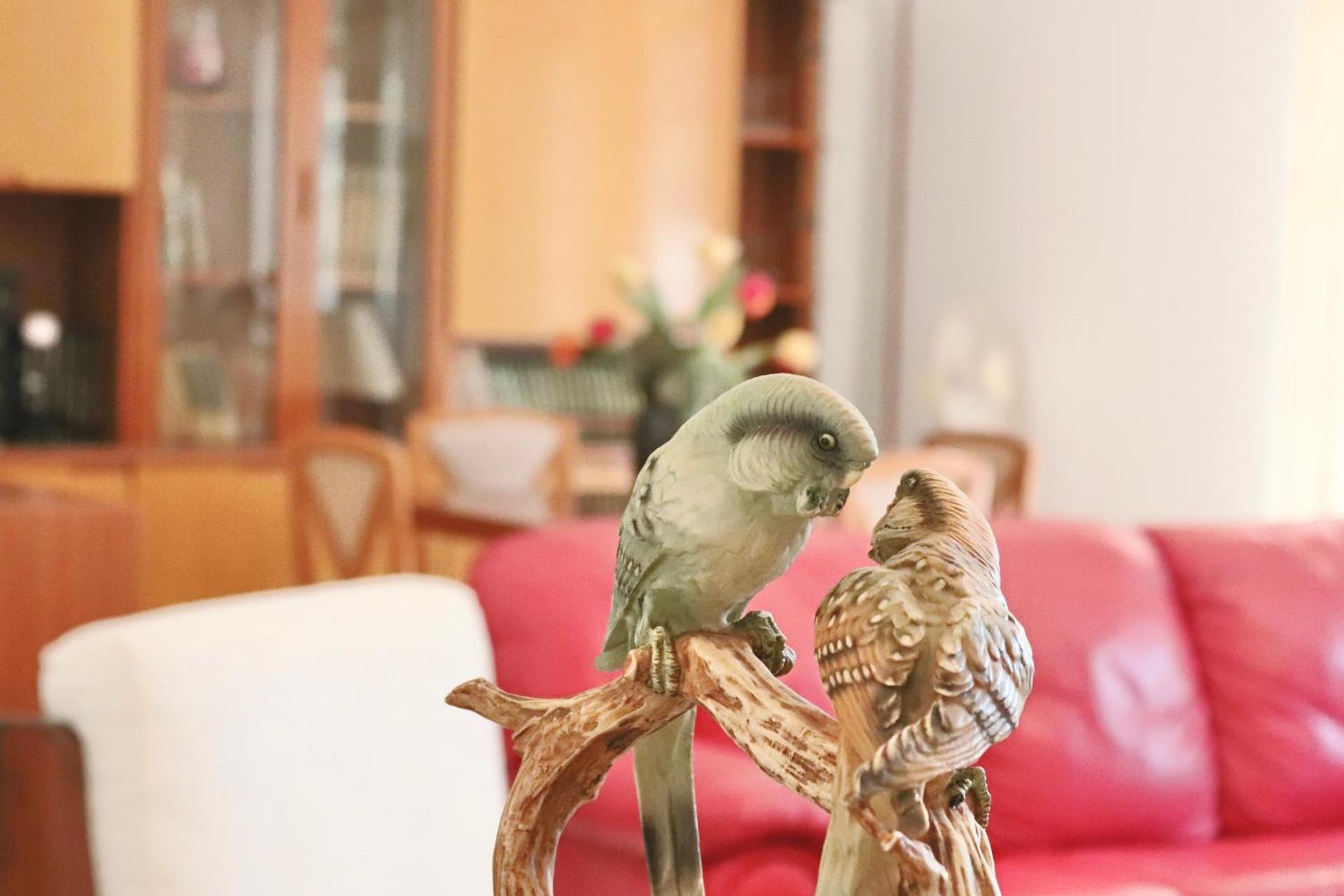 Villa Annamaria - swimming pool and peace in Castelforte