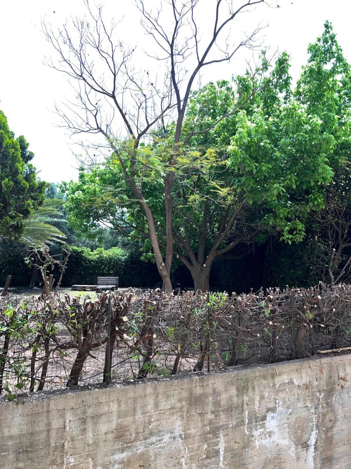 Casa A Pupidda vicino al mare