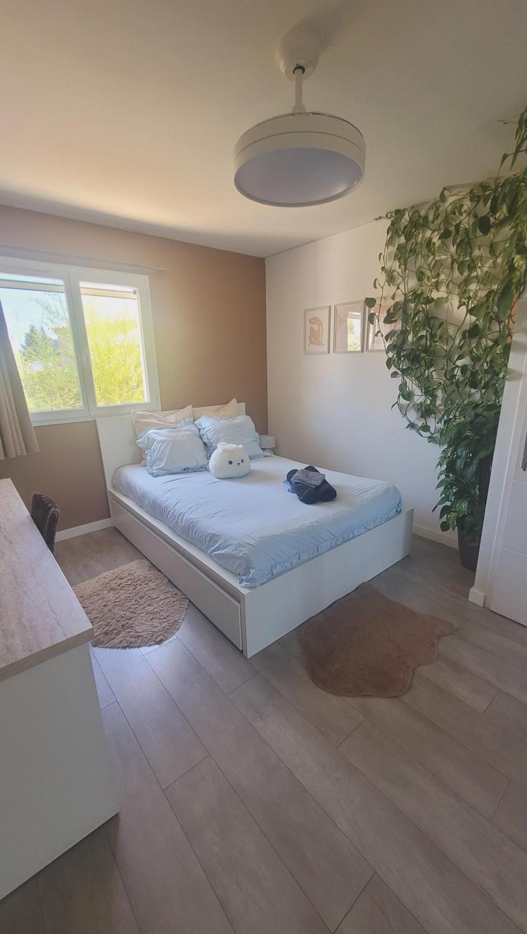 Chambre d'hôte dans une maison cosy