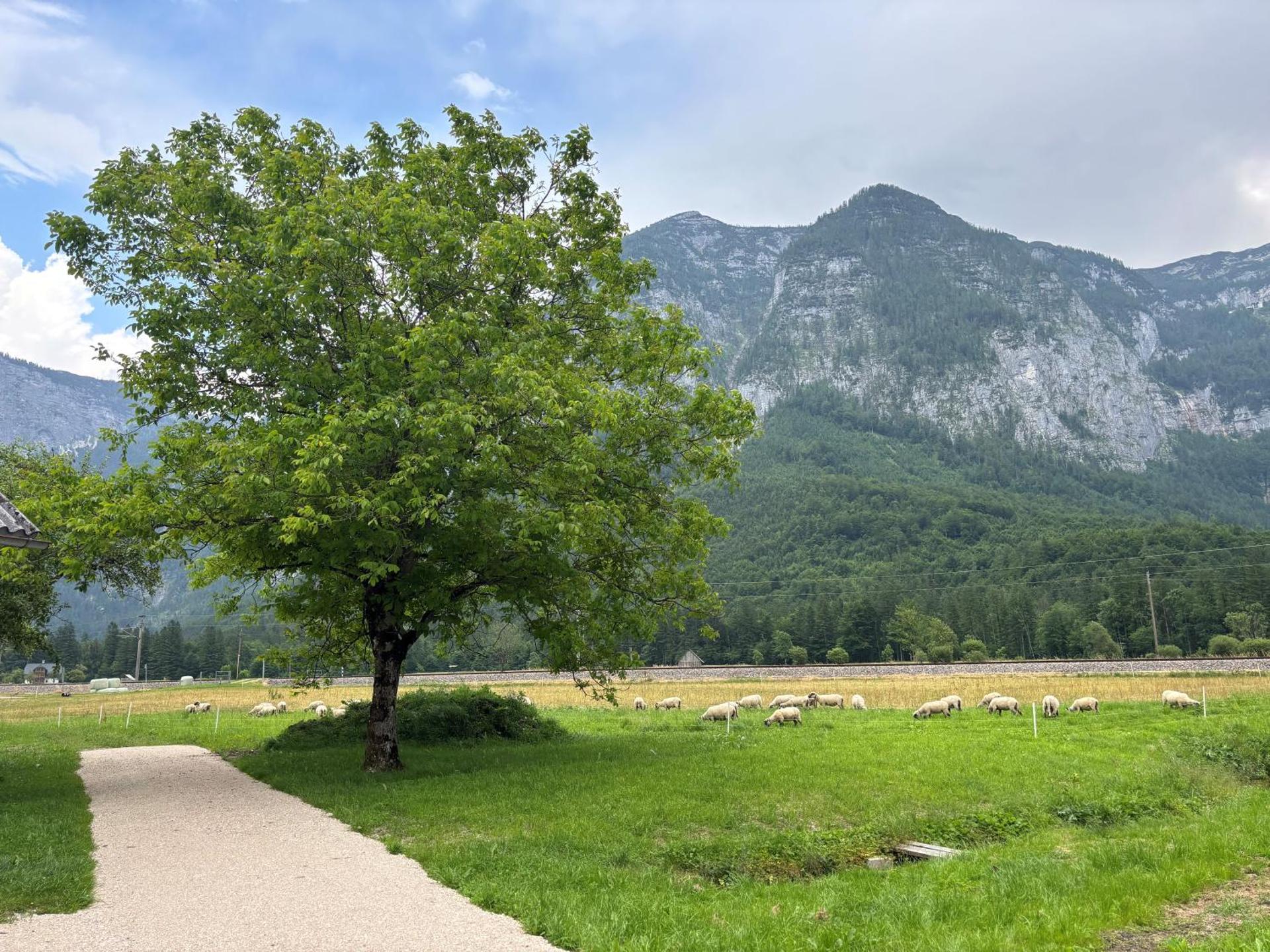 Haischberger Apartments