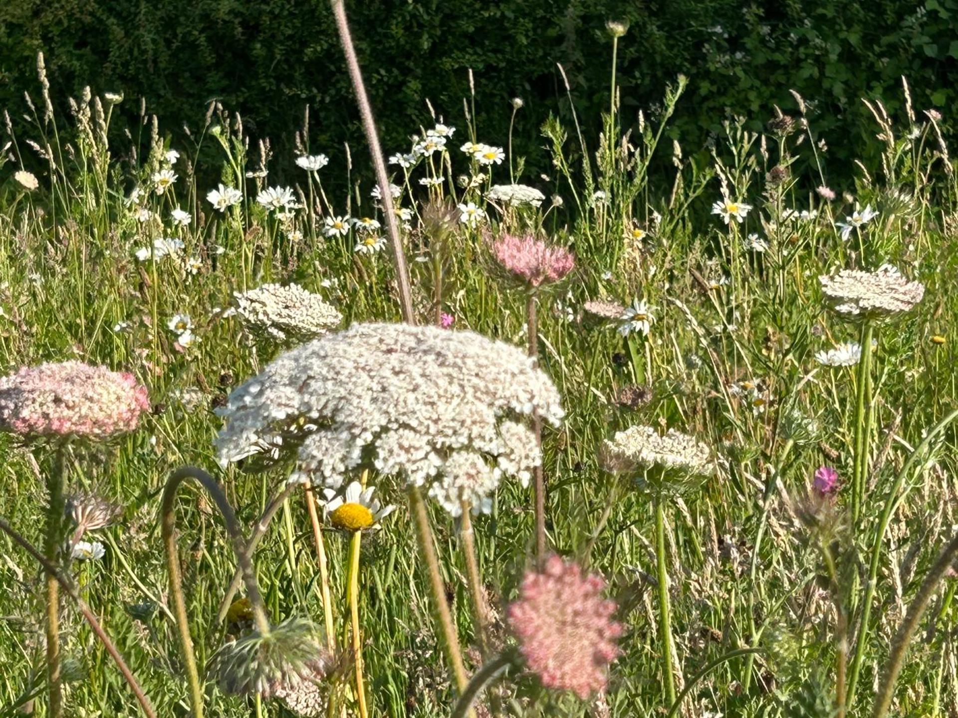 Cosy Devon Hut with Private Hot Tub