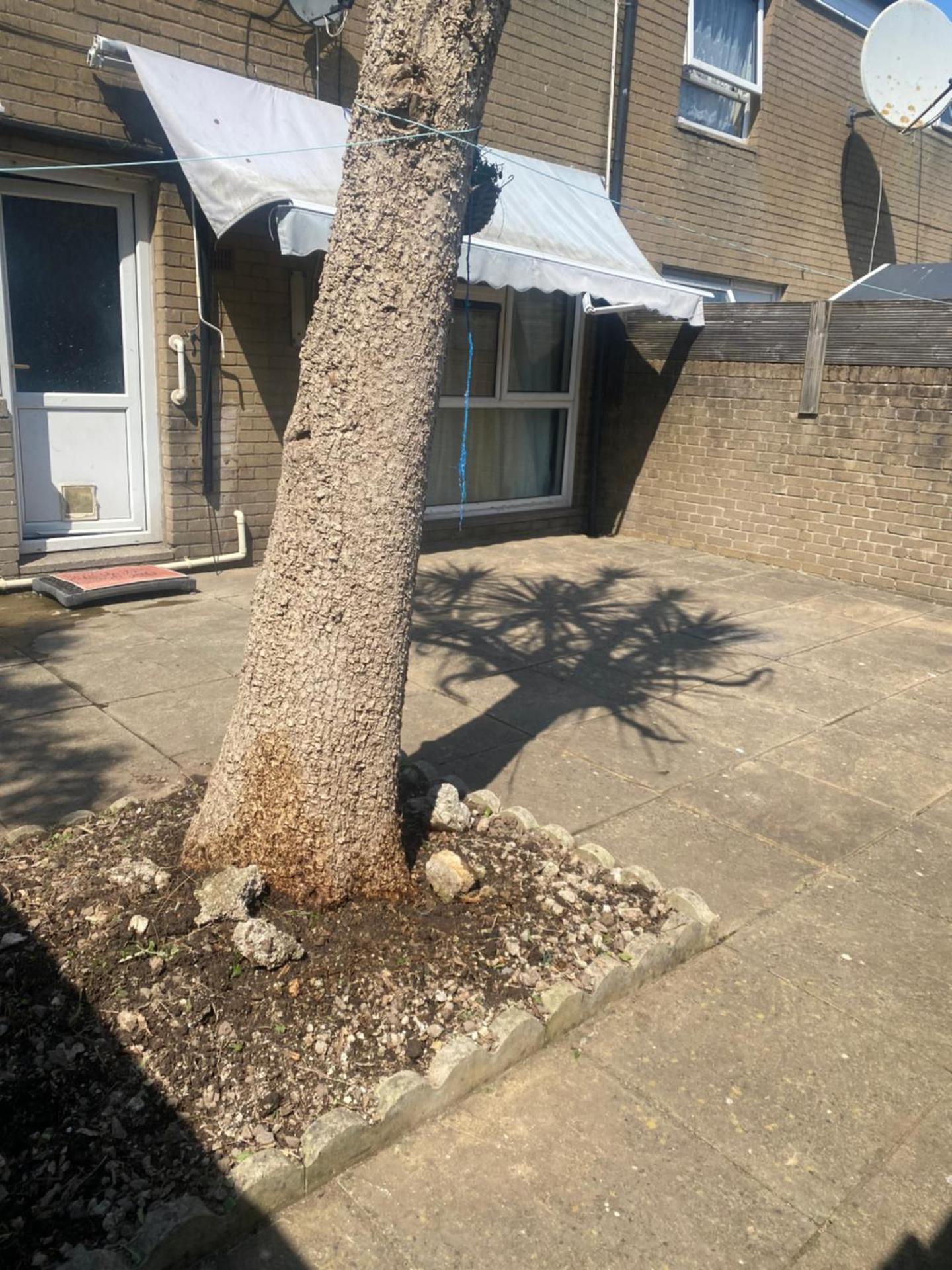 Warm spacious lovely house