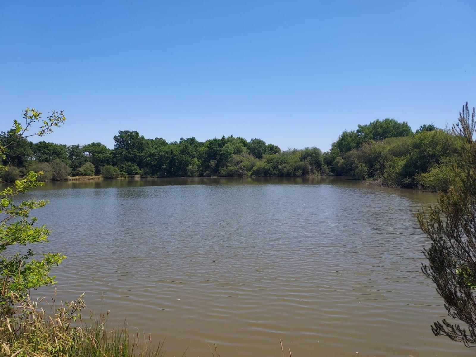 Camping De Bellebouche