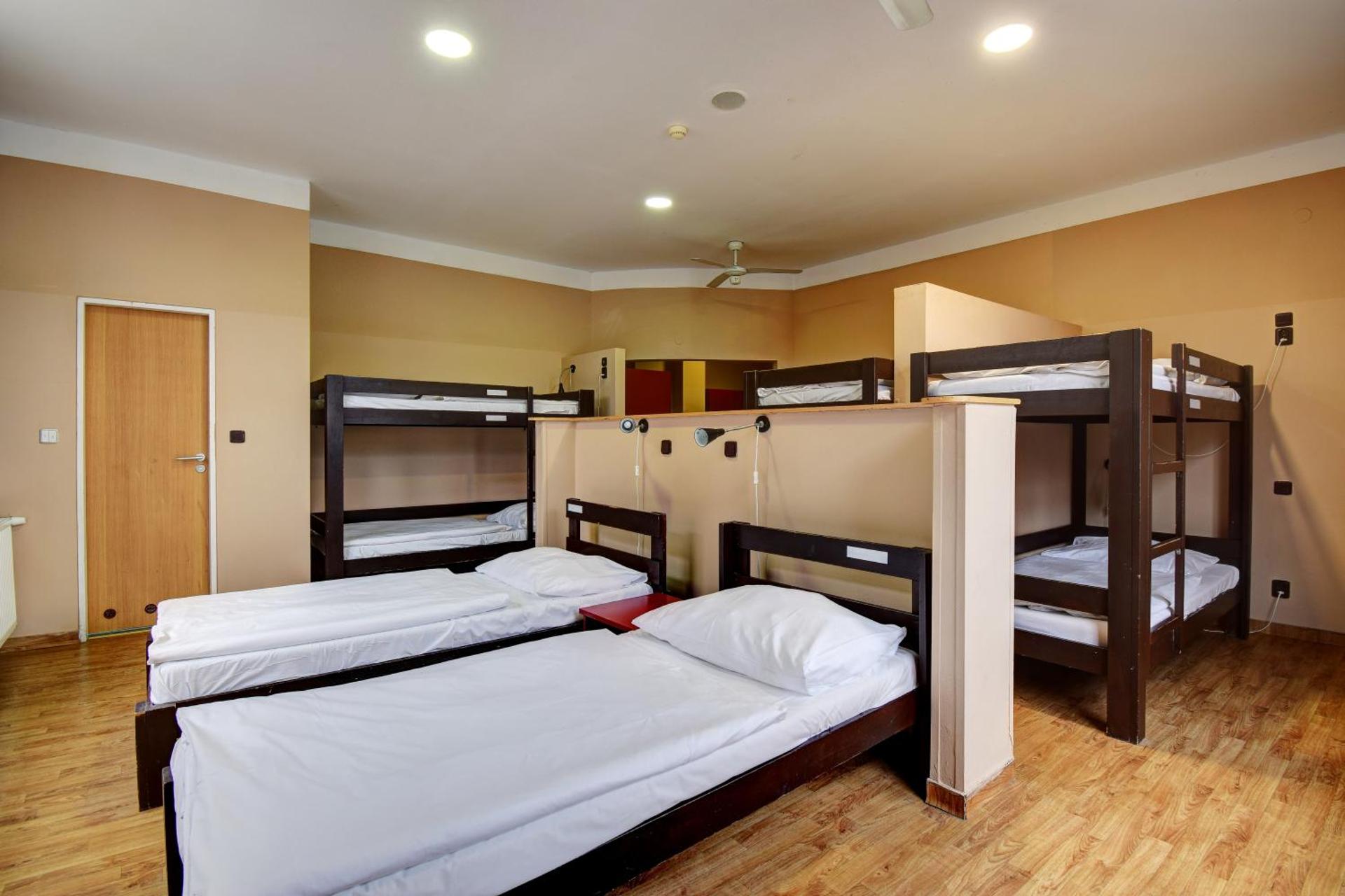 Bed in 6-Bed Dormitory Room