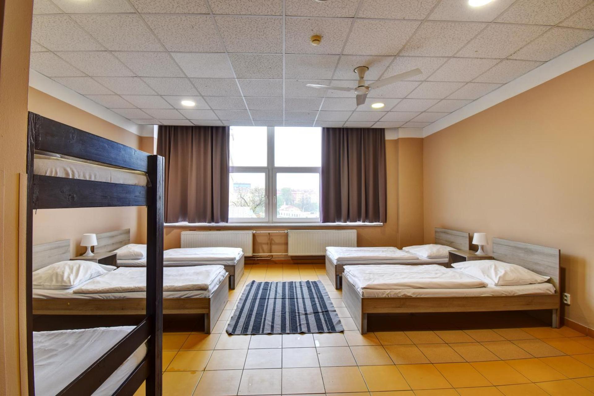 Bed in 6-Bed Dormitory Room