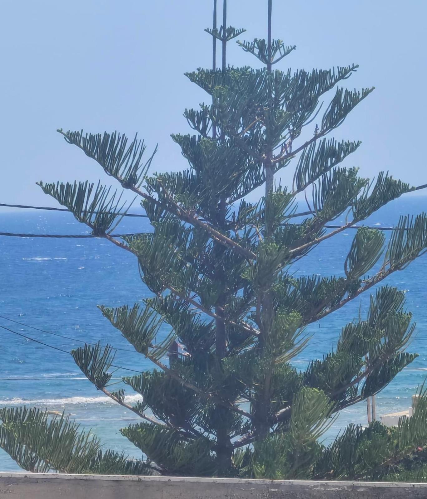 Villa Christos Pool and Sea