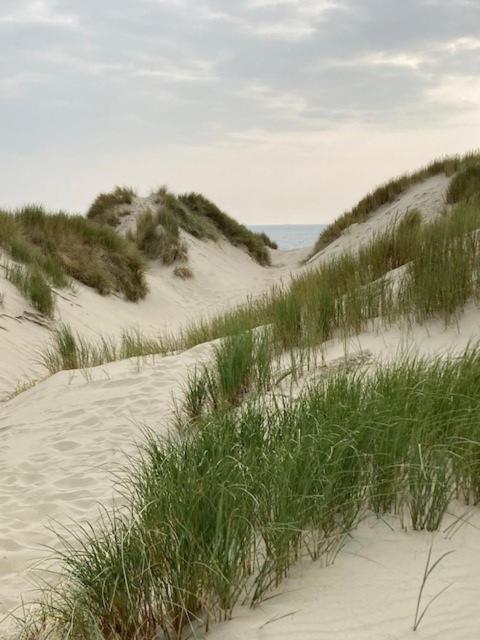 Duinstrand Burgh-Haamstede