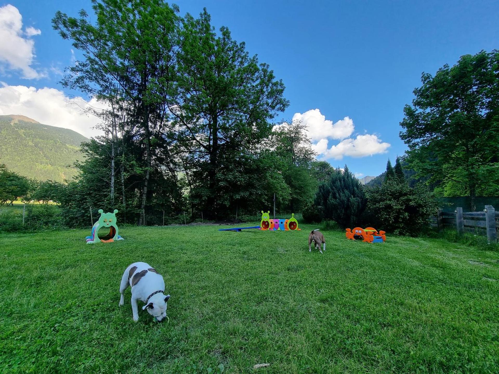 Appartamento Adamello 12