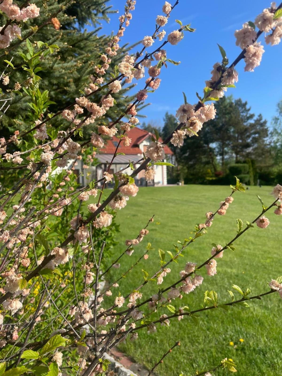 Apartament nad Brdą prywatny darmowy parking