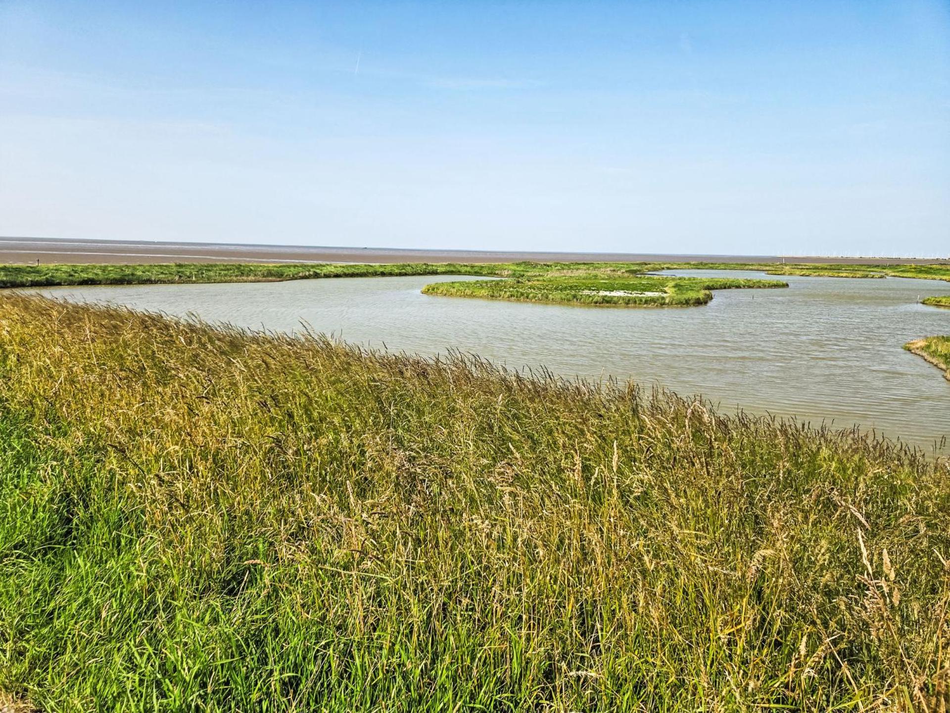 Holiday Home Den Oever by Interhome