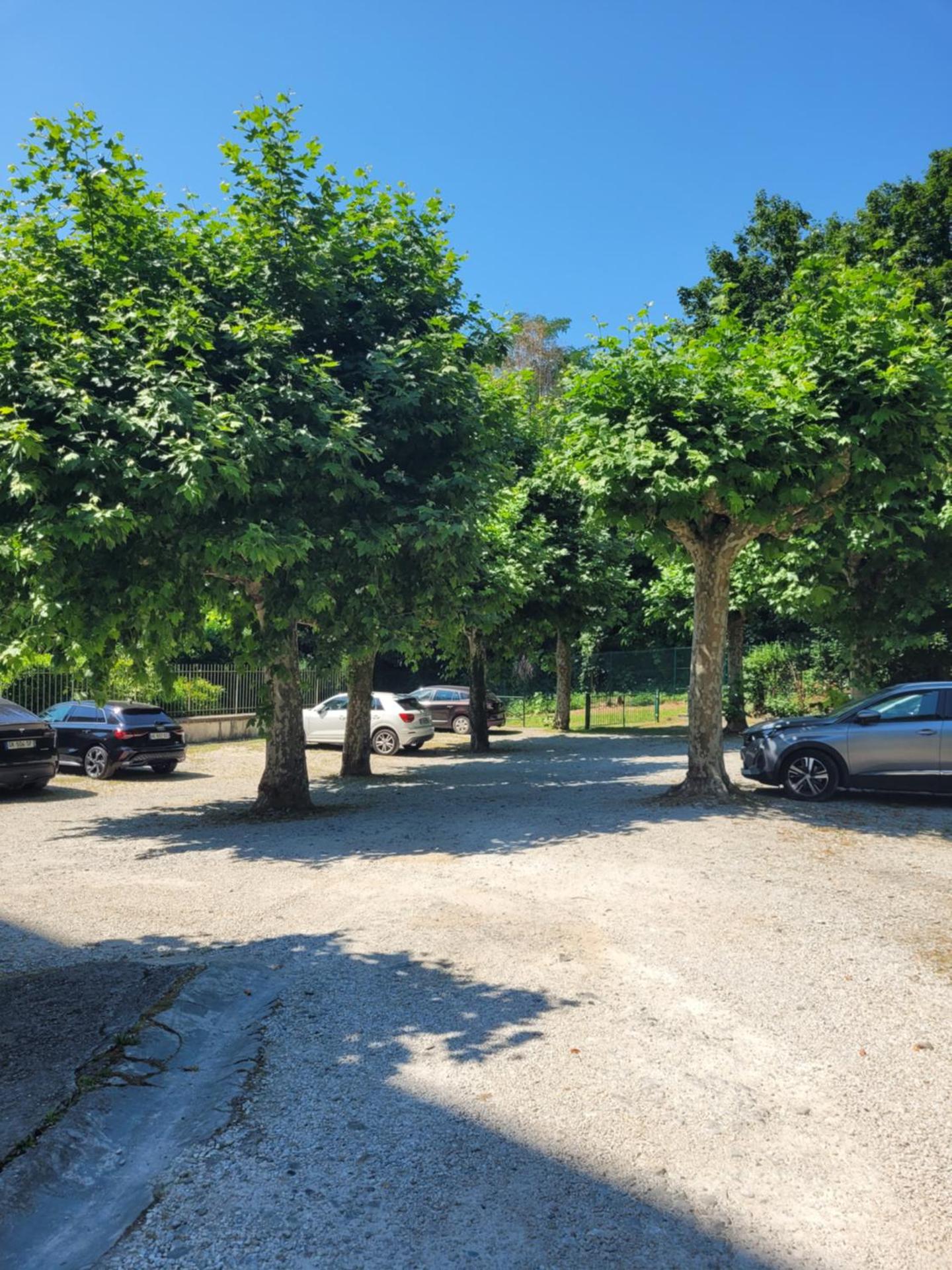 Studio au Palace Le Splendide