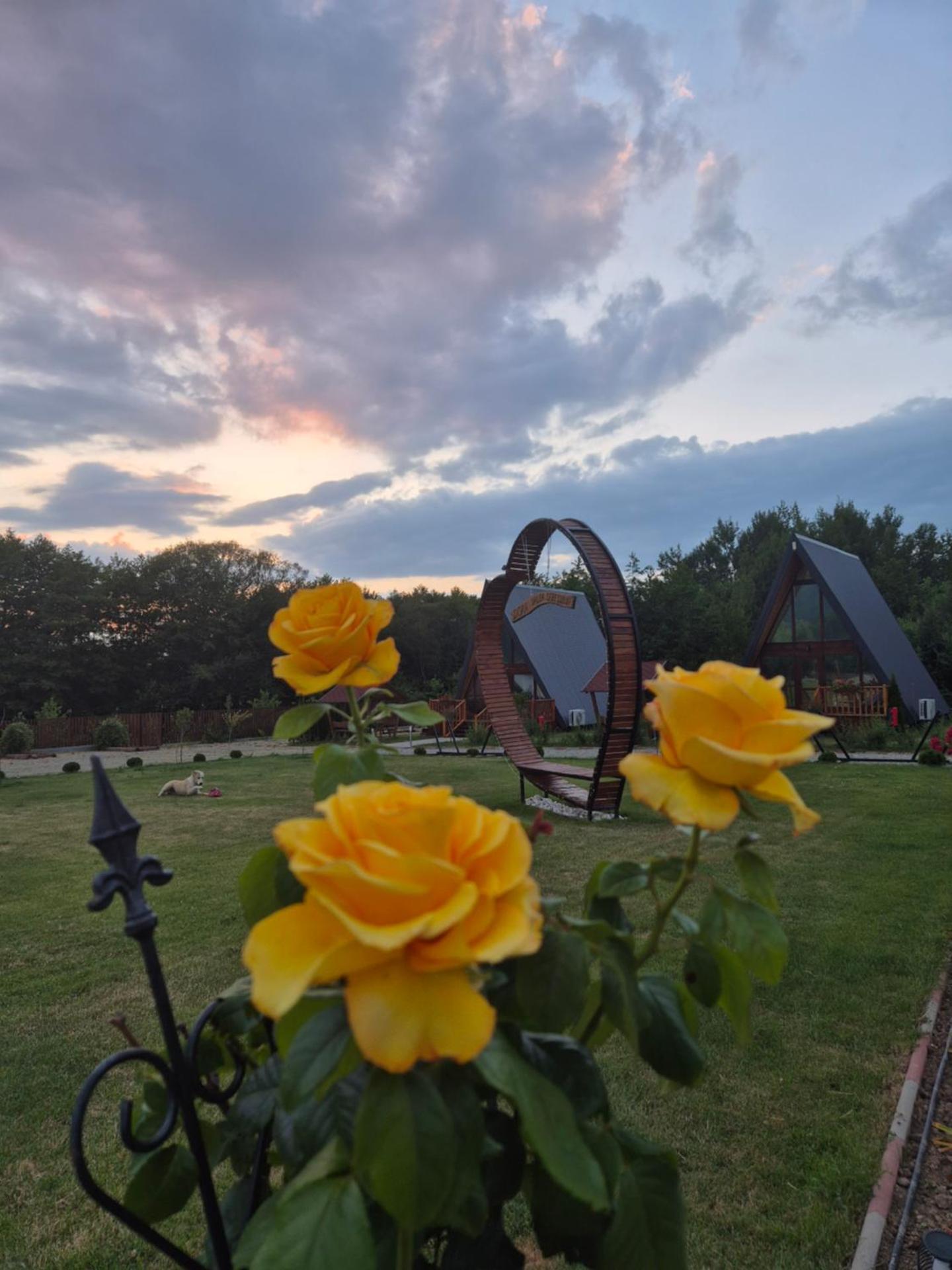 Doka Valea Sebesului A-Frame