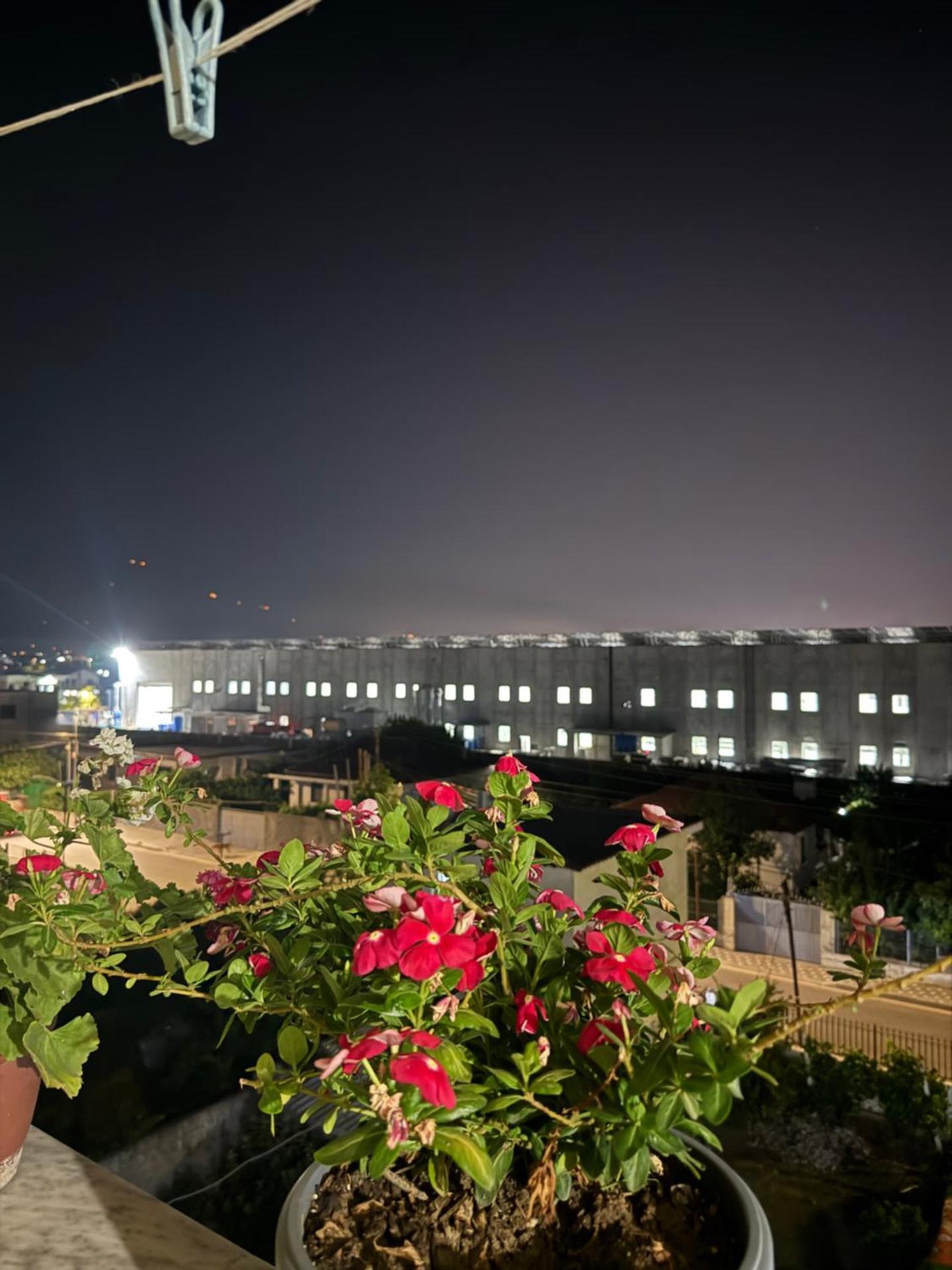 Room with garden view