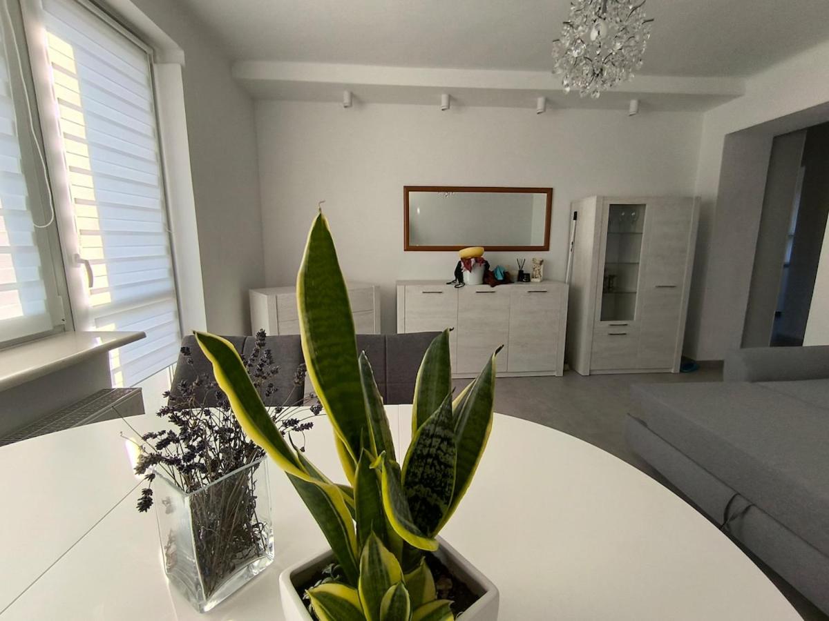 apartament przy cukierni