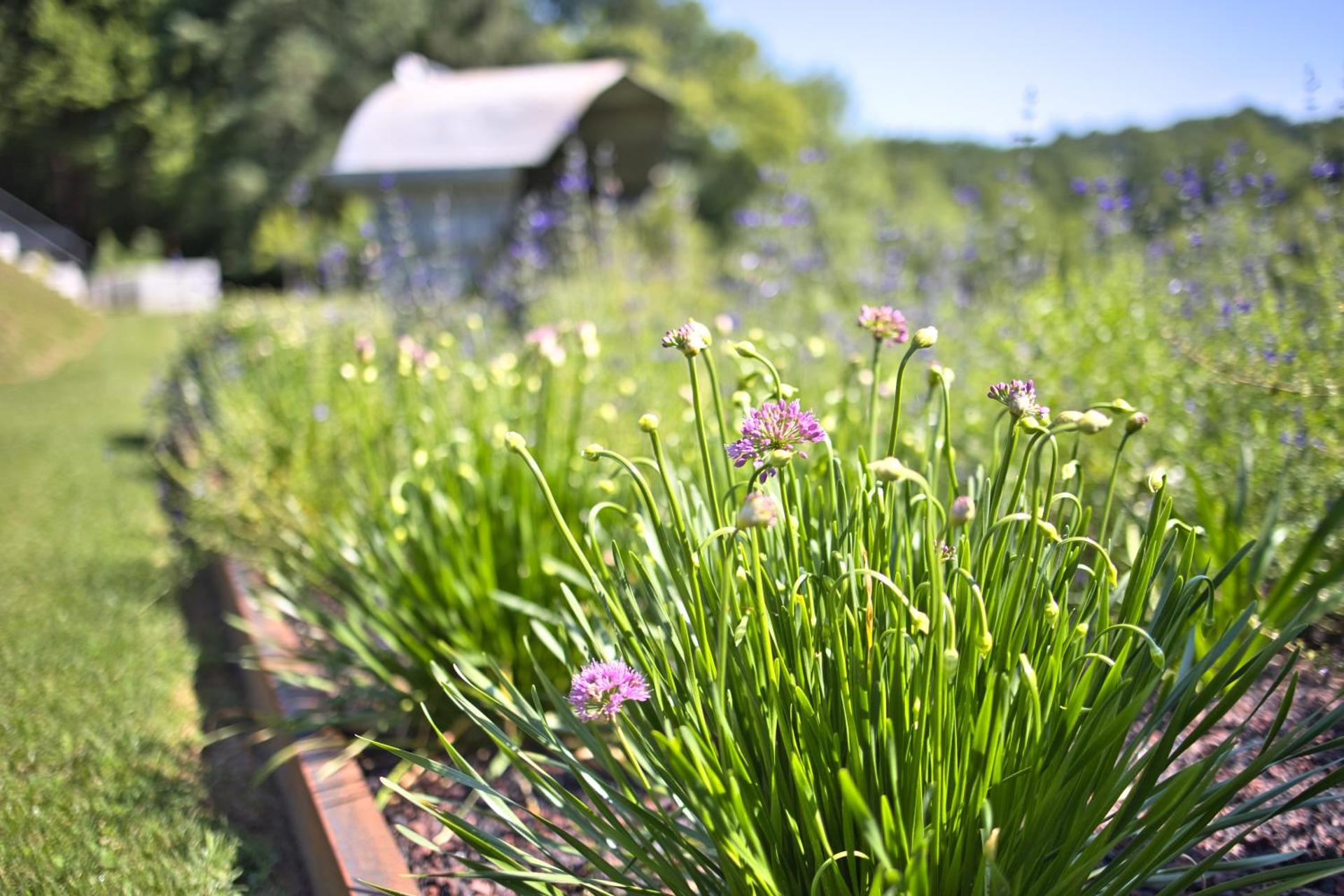 La Grange de Louvadour
