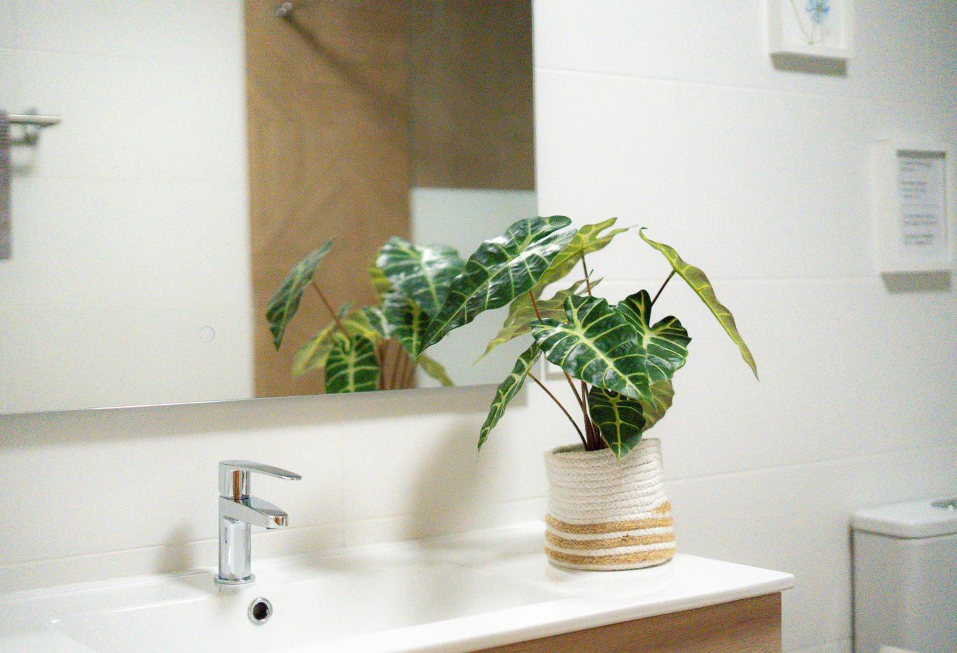 Villa Mis 5 Amores con piscina