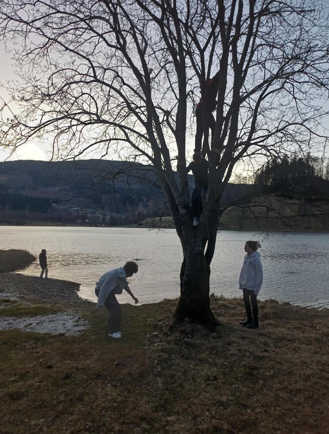 Nesvika 5 bedroom holiday home, only 25 min from Bergen