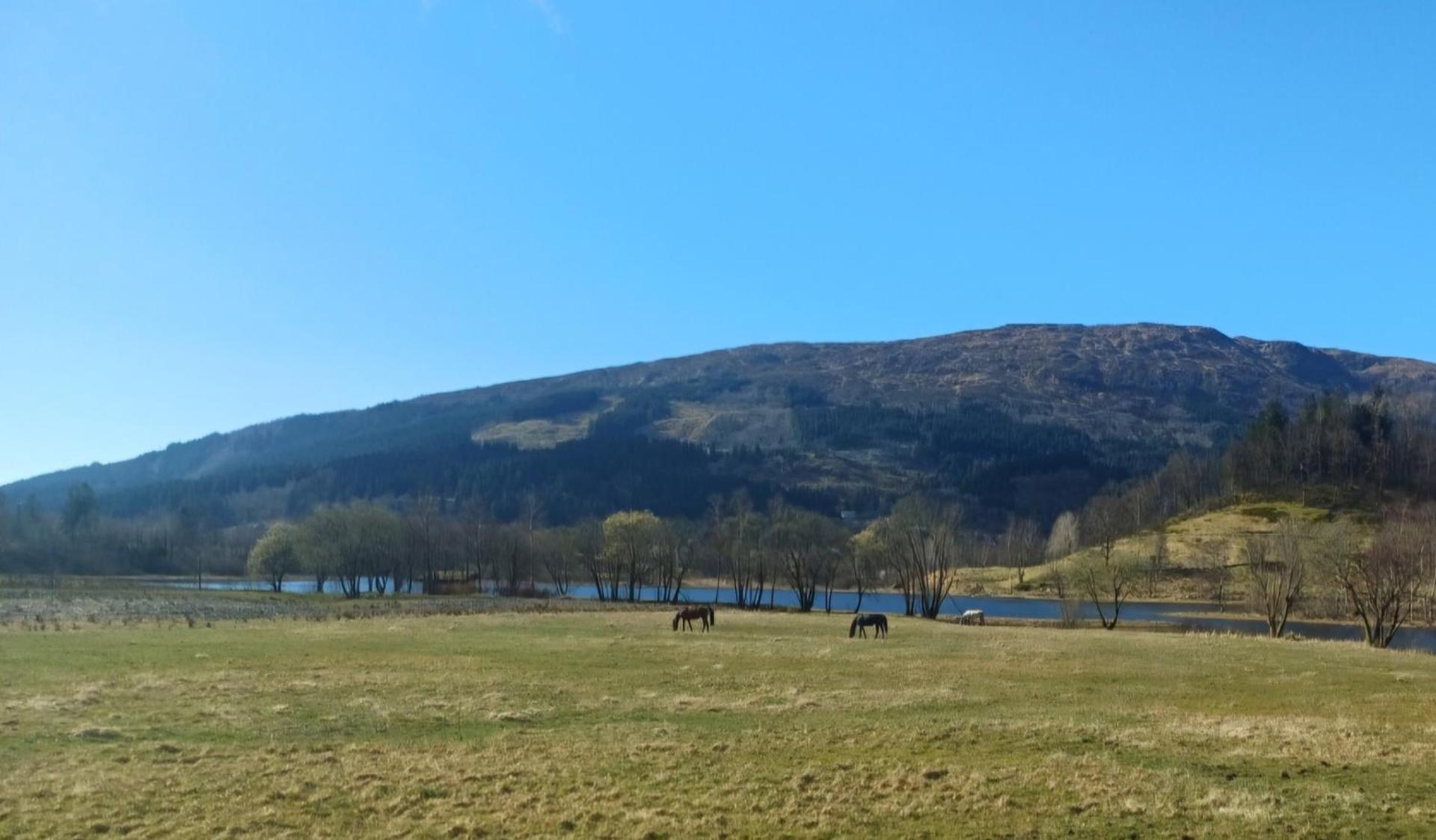 Nesvika 5 bedroom holiday home, only 25 min from Bergen