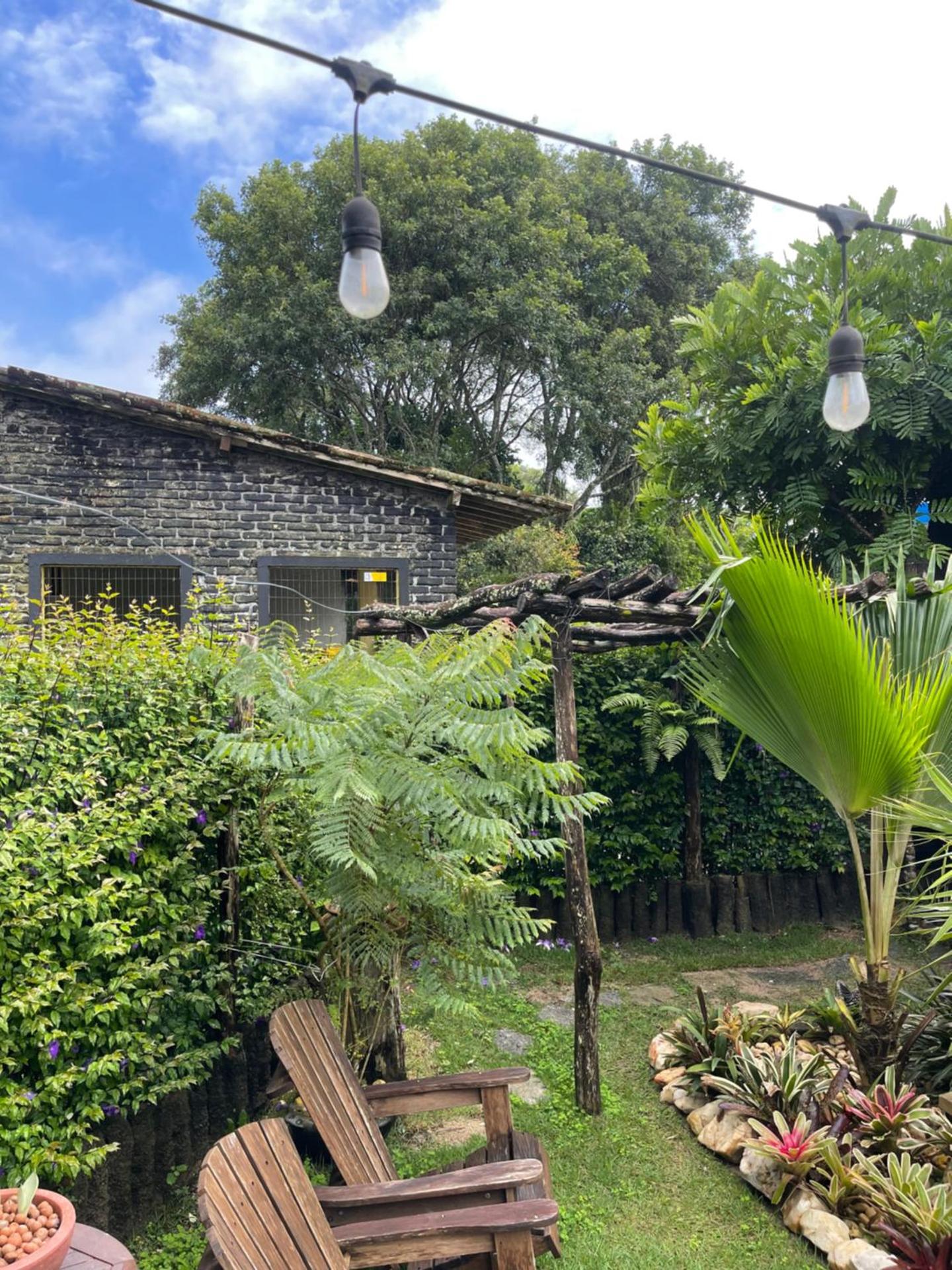Tiny Home Garden Bananeiras