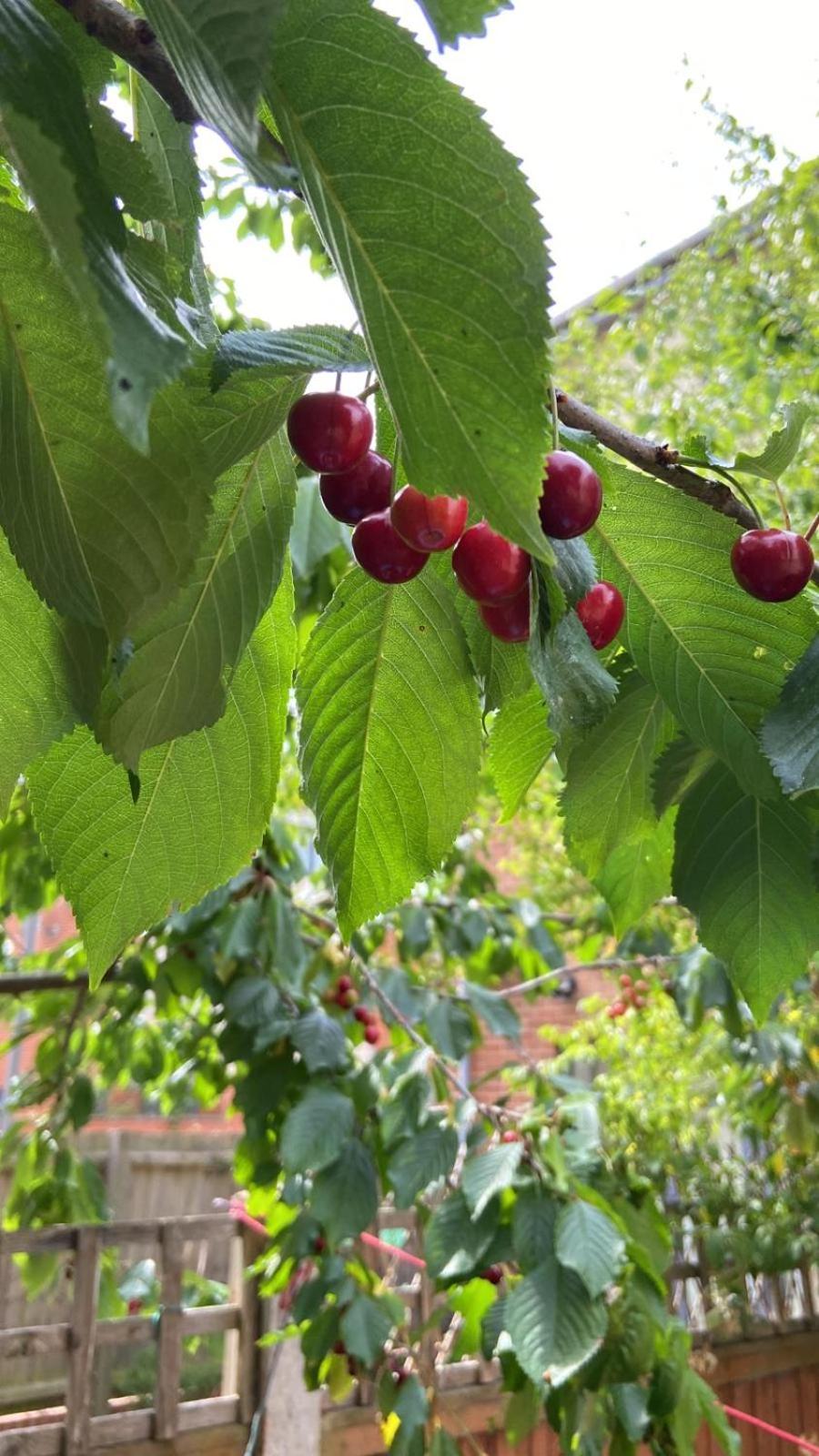 View (from property/room)