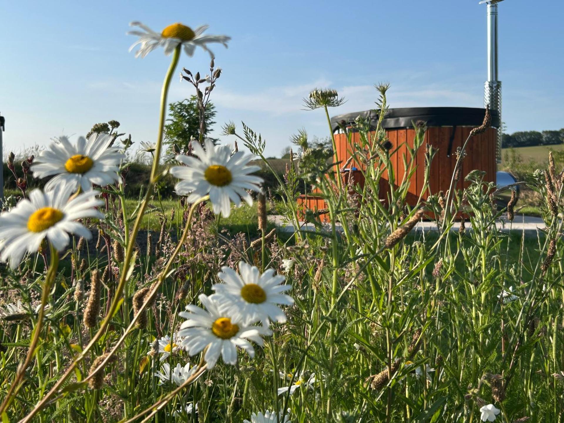Cosy Devon Hut with Private Hot Tub