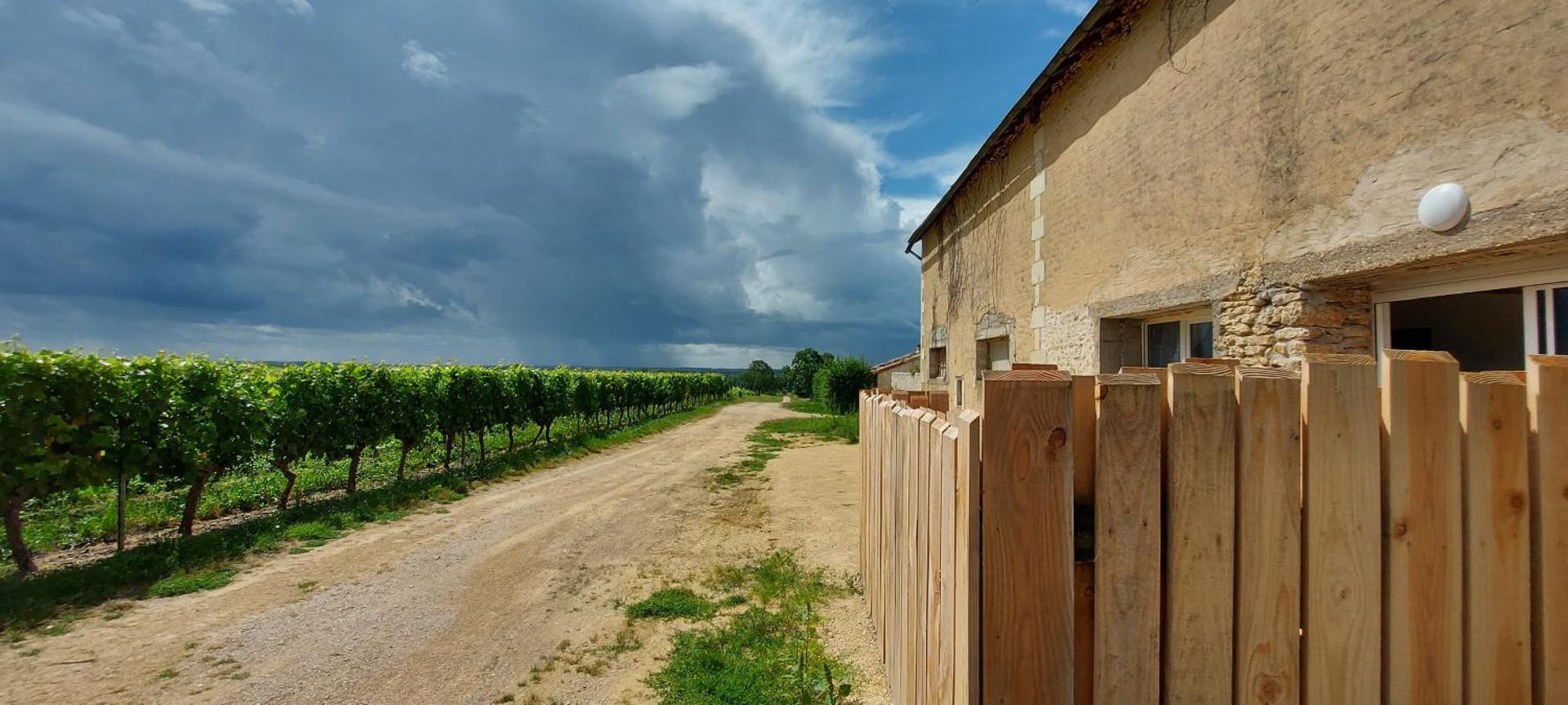 View (from property/room)