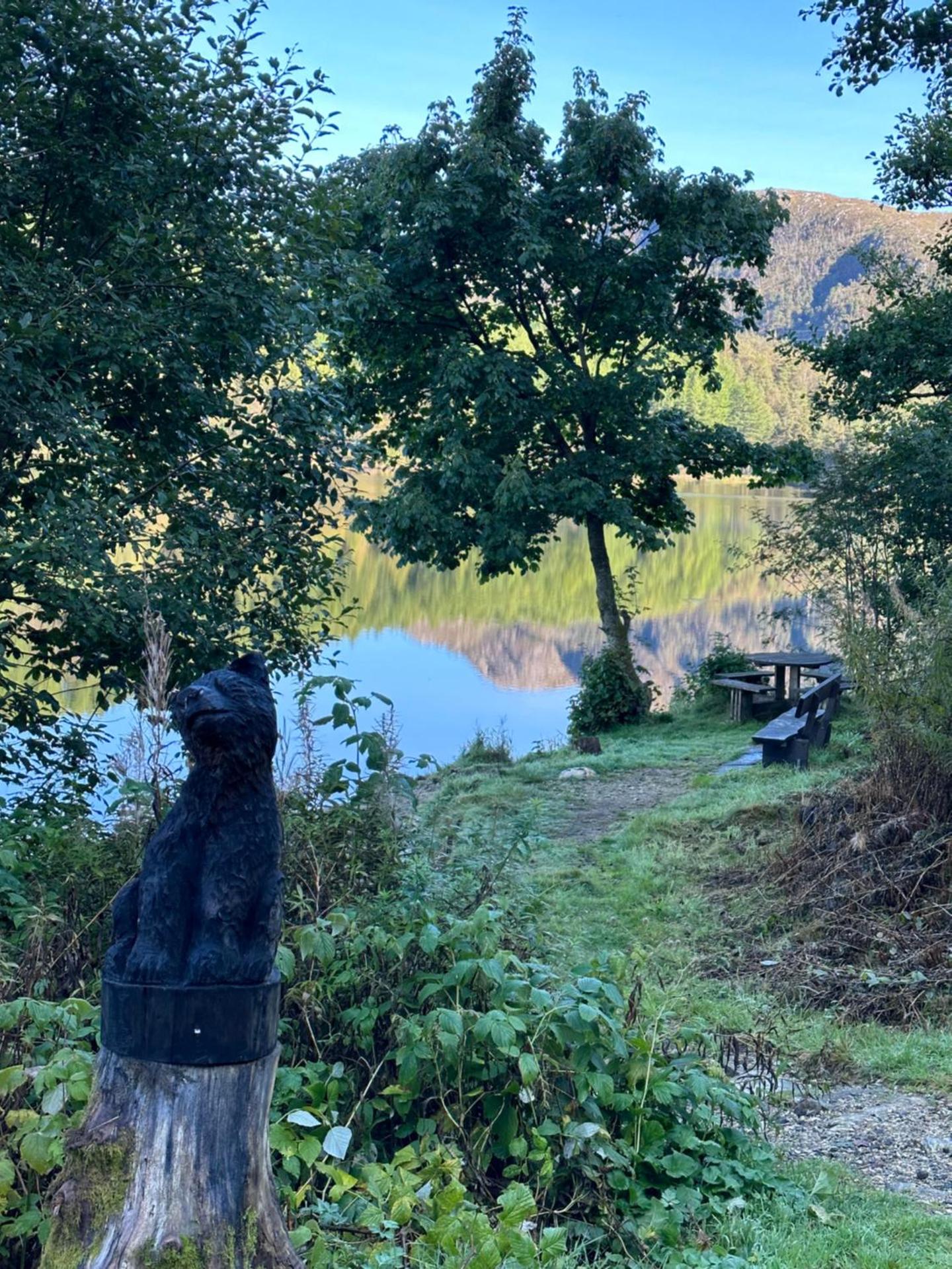 Newly Renovated Rom Bergen Fana