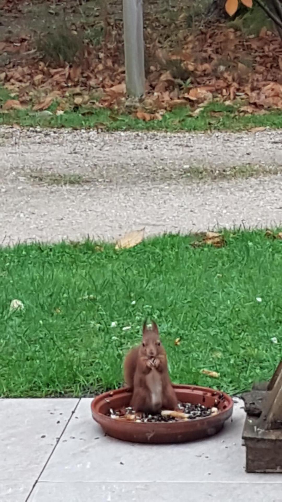 Le Clos des Écureuils