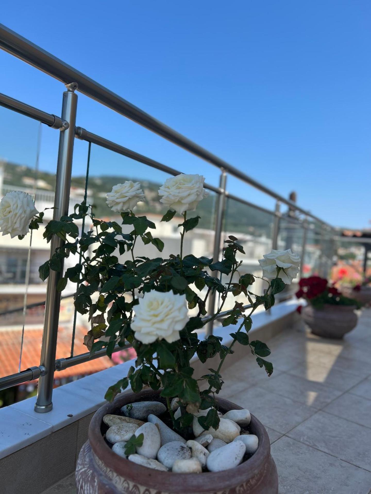 Bozikis House! A cosy apartment in the city centre