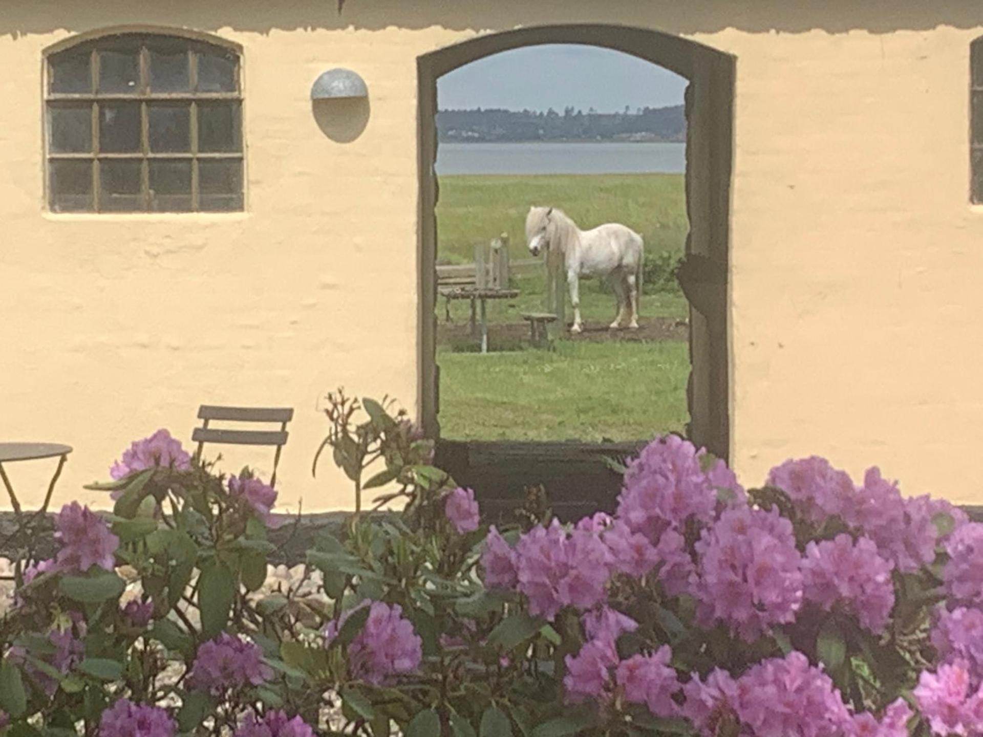 Stutteri Ahl near beach and town