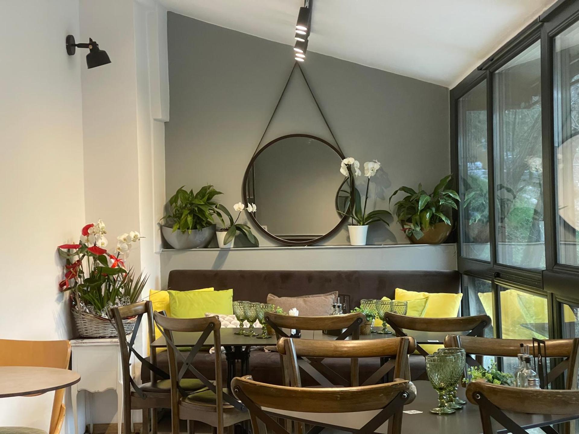 Pensiunea Casa Dimitrios-Baile Herculane -Casă Boemă cu vedere la munte apă atmosferă intimă