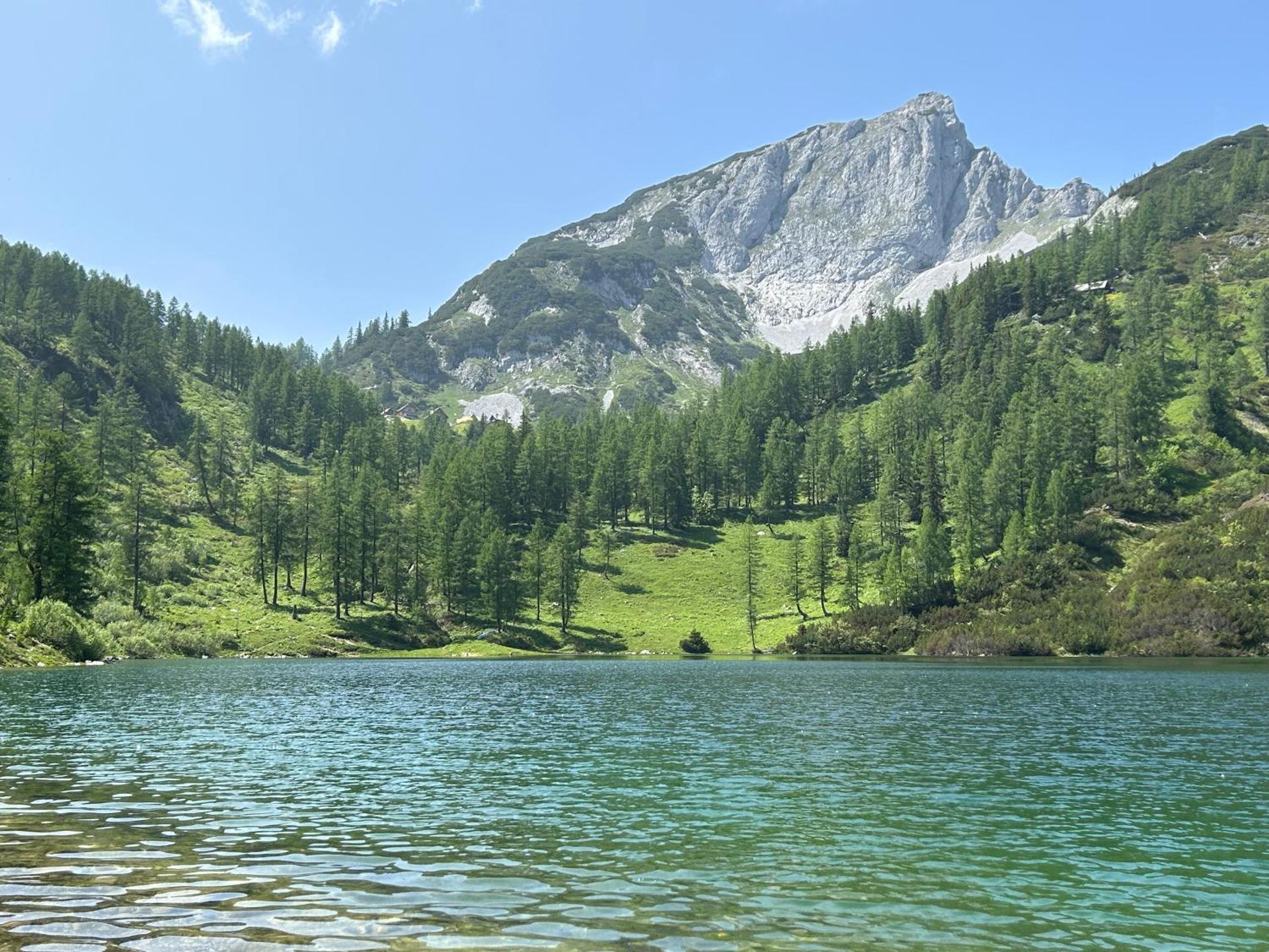 Wohnstudio in umgebauter Scheune